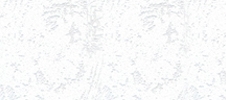 07-029